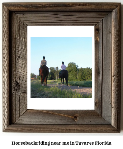 horseback riding near me in Tavares, Florida